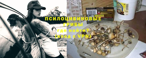 бошки Алексеевка