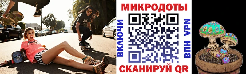 Галлюциногенные грибы Psilocybe купить наркотики сайты Сим